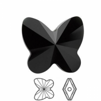 Papillon 5754