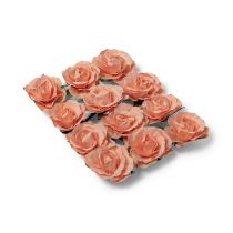 12 roses saumon sur tige - 3,5cm