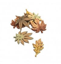 8 Feuilles Automne en bois environ 3,5cm