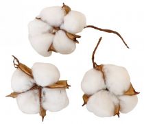Boite de 9 Fleurs de coton naturelles
