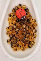 Perles facettes 4mm Topaz tigré  x50