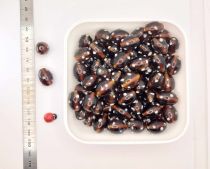 Perles ovales indiennes marron 17.5mm x30