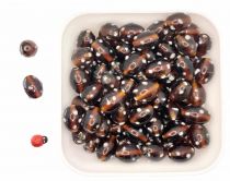 Perles ovales indiennes marron 17.5mm x30