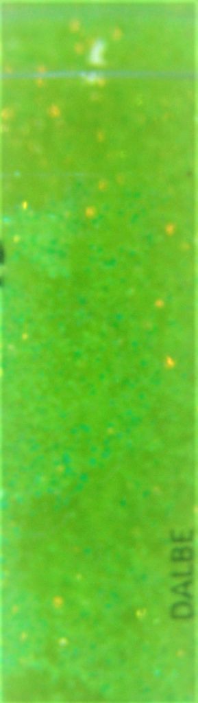 Poudre Fluo Jaune Artemio - Pour Loisirs Créatifs, Décoration Et Artisanat