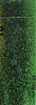 Poudre de paillettes vert olive foncé 30 grs x1