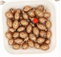 x20 Perles rondes indiennes poudre doré 10mm